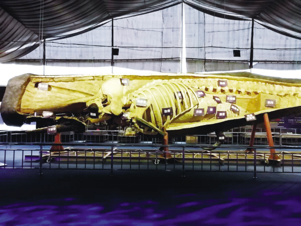 1591059069652083.jpg 01zhuom.jpg