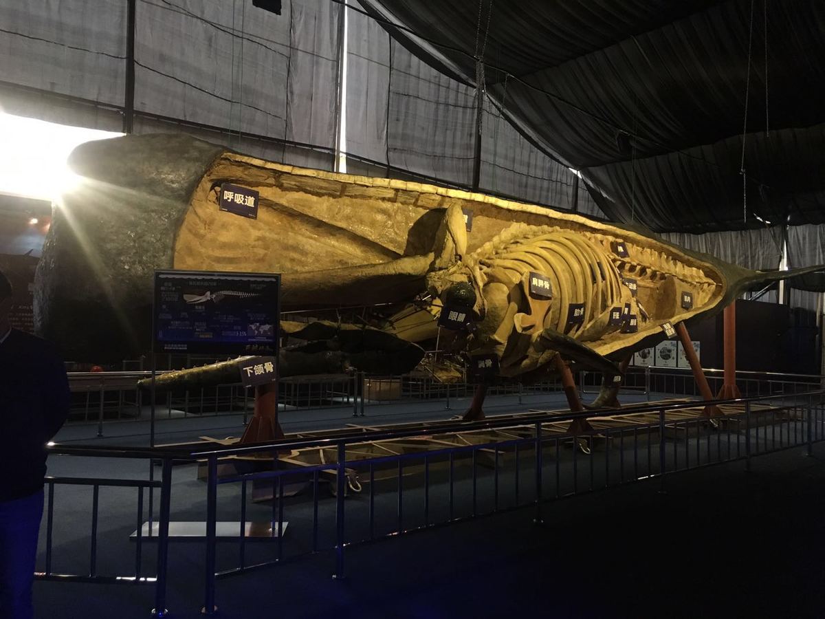 1591060386276947.jpeg 01.jpeg