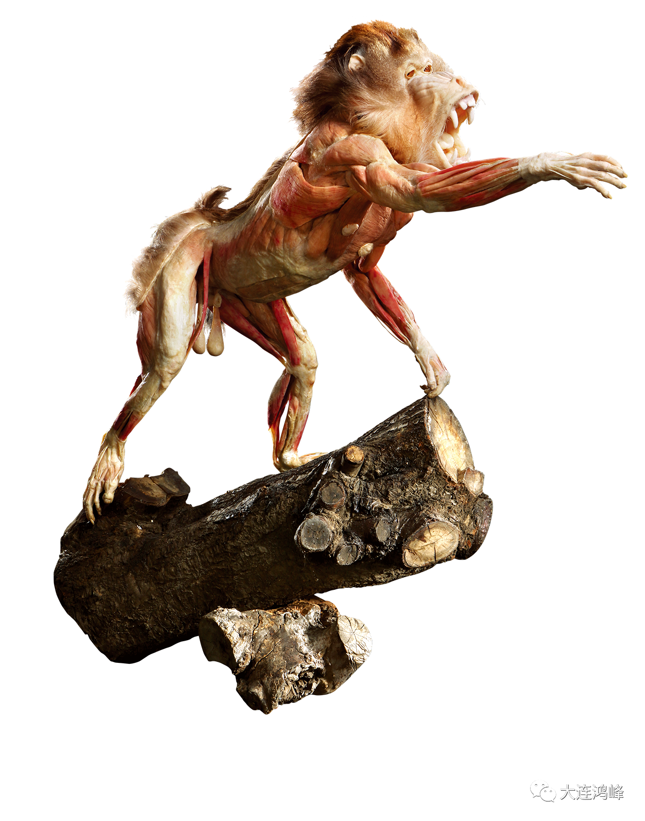 1642490996104166.png 微信圖片_20220118141050.png