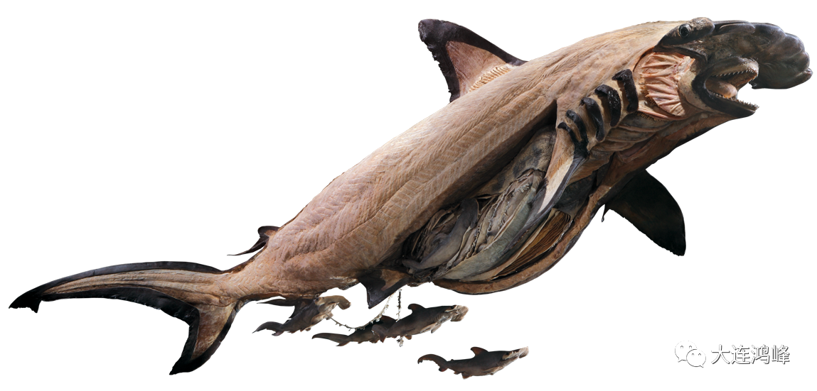 1642491007264132.png 微信圖片_20220118141054.png