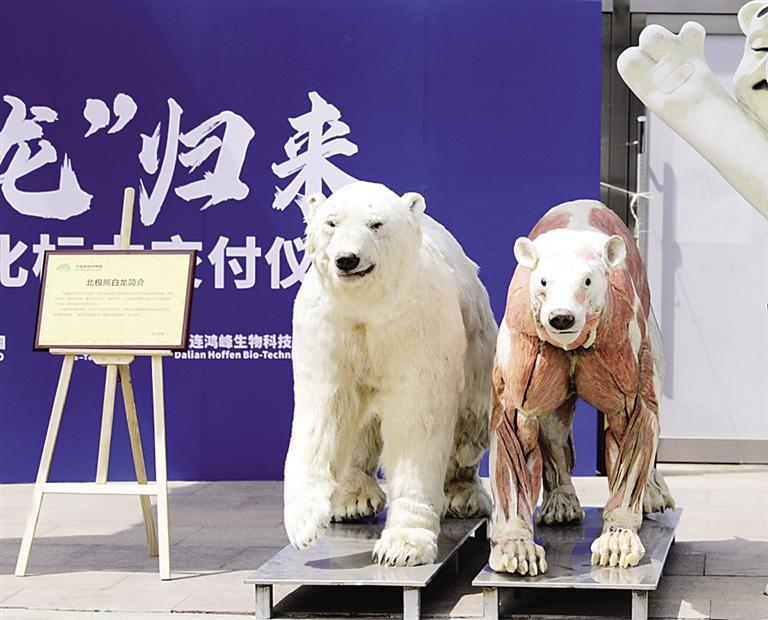 1683684411542829.jpg 微信圖片_20230510100622.jpg