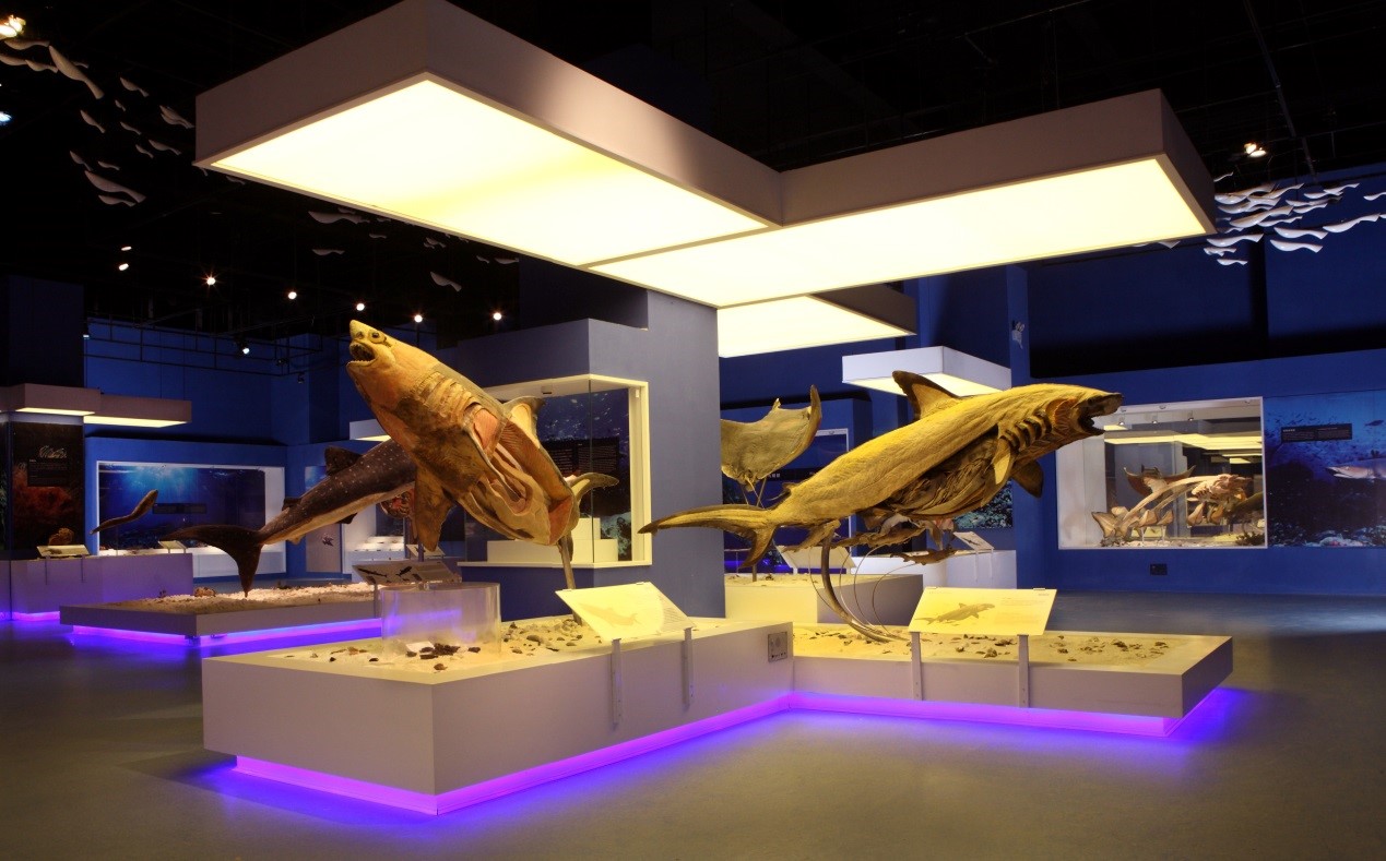 1684128261122773.jpg 3.jpg