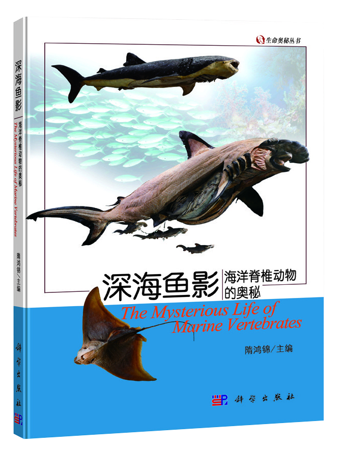 3.深海魚影.jpg