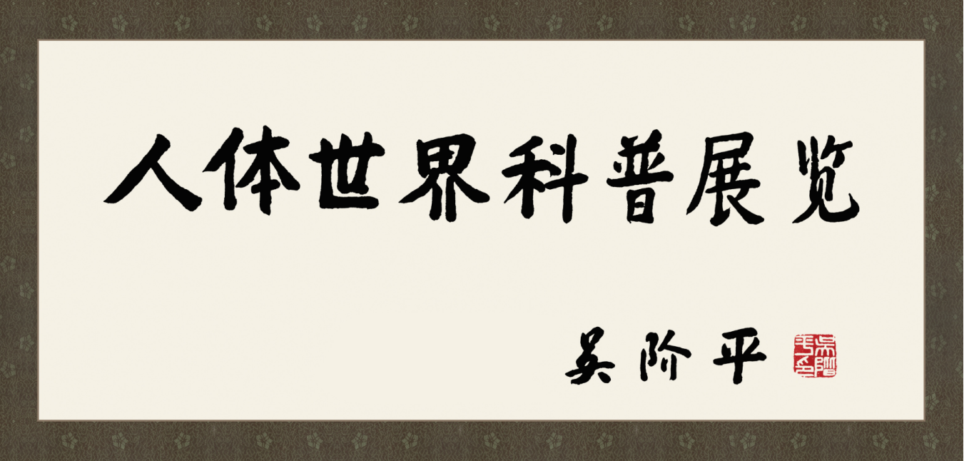 1761188192115676.png 05504b2b8aa8f2a7b57319433a3824dd.png