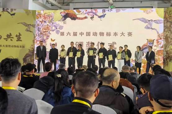 1766468713392365.png 491a10a4-7af6-4f07-a2f9-b7d5001b62b3.png