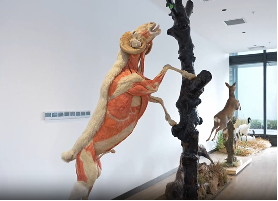 1766468749892108.png 385895e5-0871-4d16-b0f2-58df9b7843e2.png