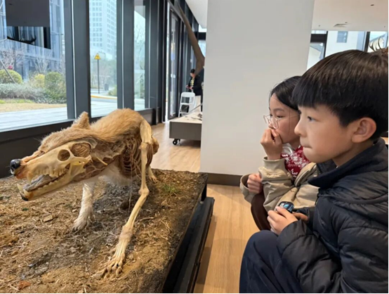 1766468809976787.png 19e6f6a0-f557-404b-8c12-8fb62e4842fe.png