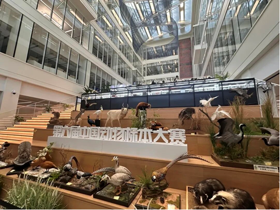 1766468845199821.png 456220b3-386b-44d7-9fc2-70632d125b78.png