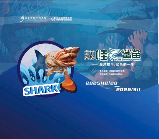 1766472801972682.png 4f3e50f3-51e9-4f00-9d2c-06e3f2b7bde3.png