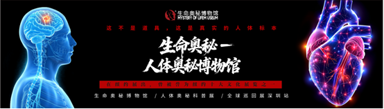 1766472836832098.png 803e393e-8749-4202-b68f-0520d31a9fa6.png