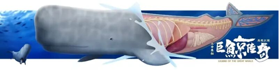 1766472859796635.png e67aefcd-e474-4451-ab67-793add7cd1f8.png