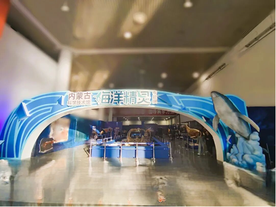 1767145784530736.png 2d467bd0-6a76-4b26-b899-eca708a70aef.png