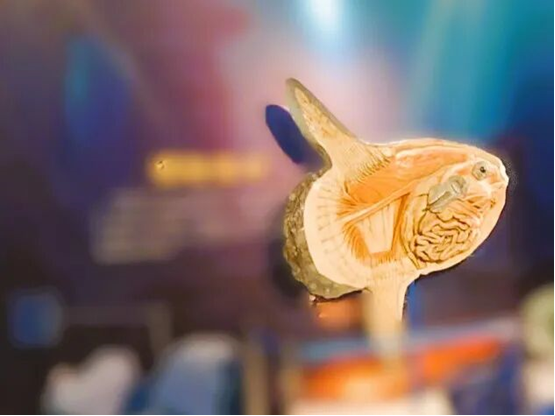 1767145810748867.png b3b78293-480d-4f25-9f22-501da4620fda.png