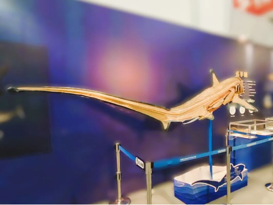 1767145926497730.png 083a85ac-ee51-42e5-8fbb-a57e7f683f1a.png