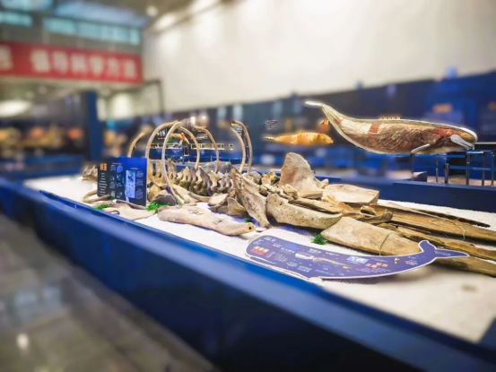 1767145961766612.png ed773cb6-a9d8-45ee-bd81-9c8a243abb4c.png