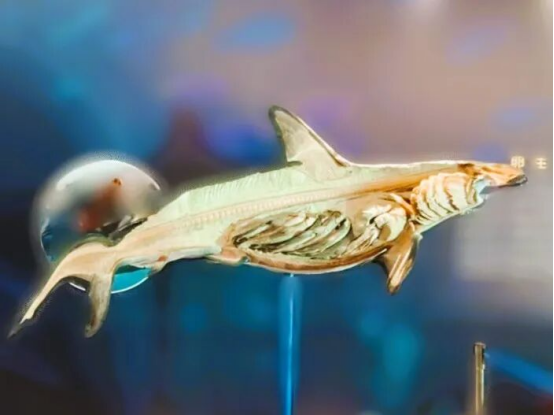 1767145995618751.png e4269da0-0105-4d78-ab5c-317cfee6fe0b.png