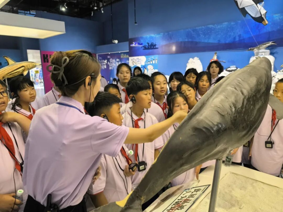 1767146031643402.png 06cd8d9c-ac72-42ca-afb0-c1fee8dca976.png