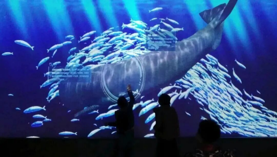 1767146035373651.png 460b4980-993e-4d0e-988b-ddf17299c1fb.png