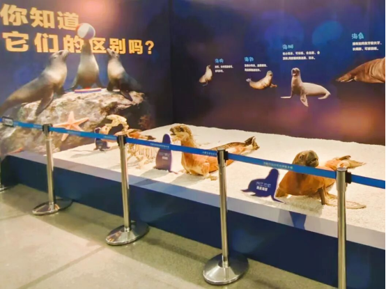 1767146039119301.png 23f3080e-f6e1-481c-b93b-ae41a3c285fb.png