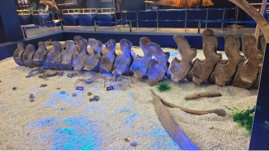 1767146072695014.png 94e9ea61-5c42-464f-b065-ba803391be2e.png