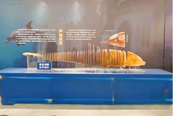 1767146095128844.png 2e1786bf-3419-4bf2-aed8-d8a82a9ed435.png